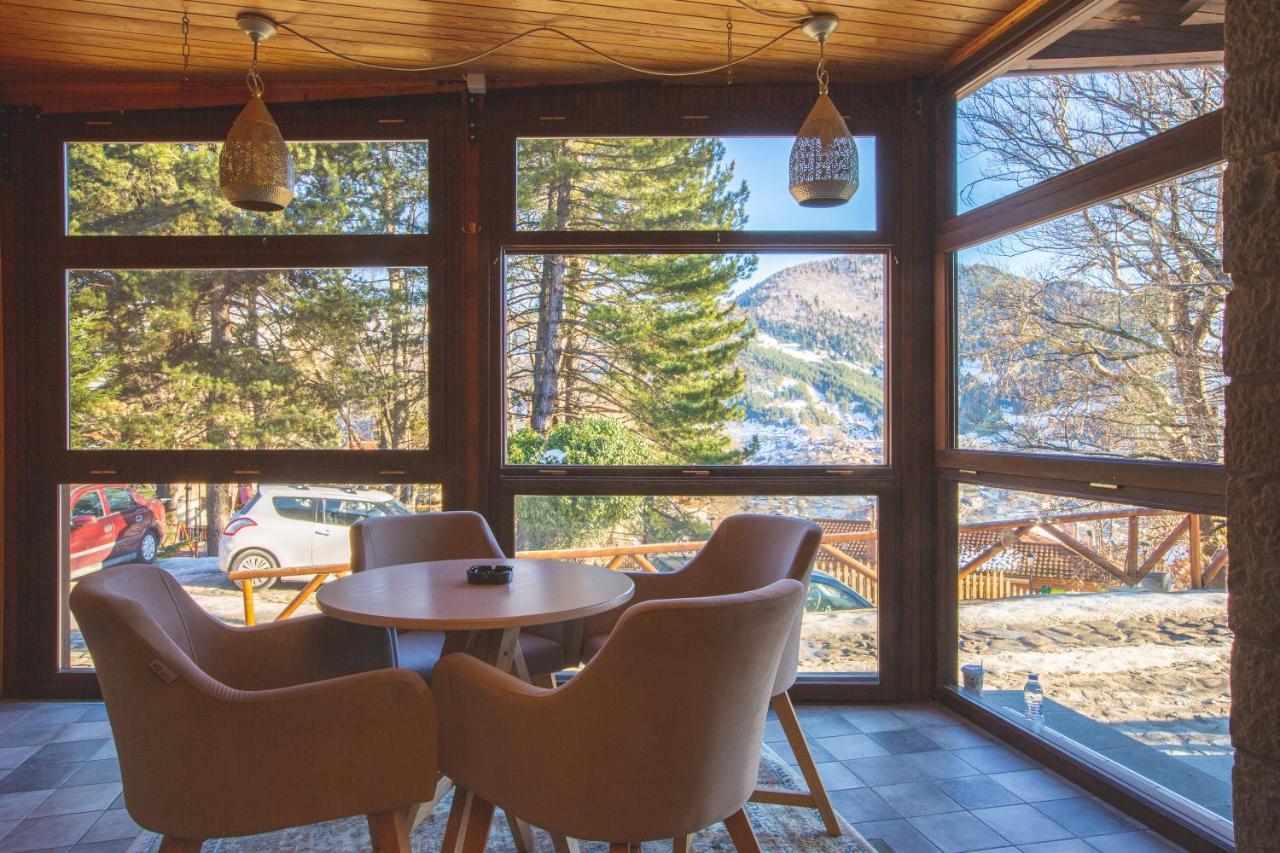 Adryades Luxury Apartments Metsovo Luaran gambar